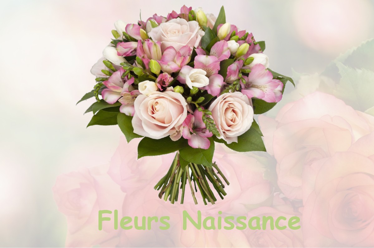 fleurs naissance ABAINVILLE