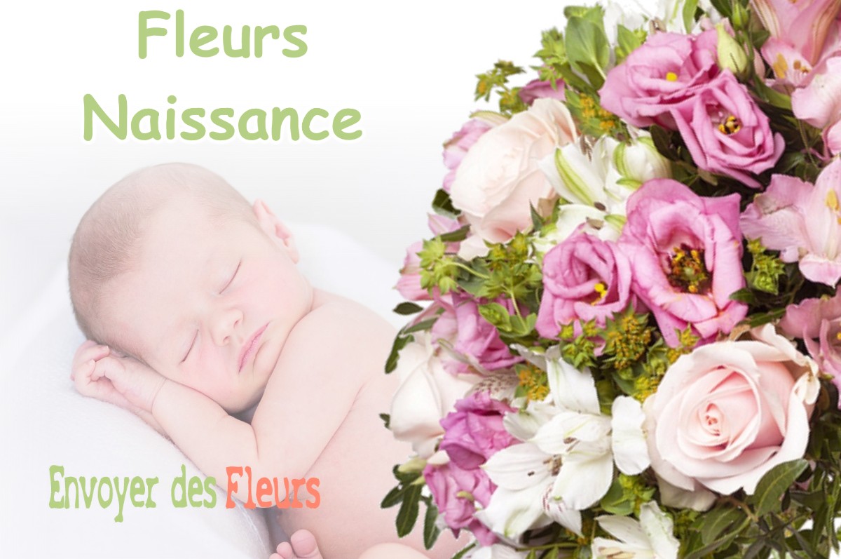 lIVRAISON FLEURS NAISSANCE à ABAINVILLE